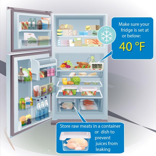 Cleaning Your Refrigerator — Redefining Domestics