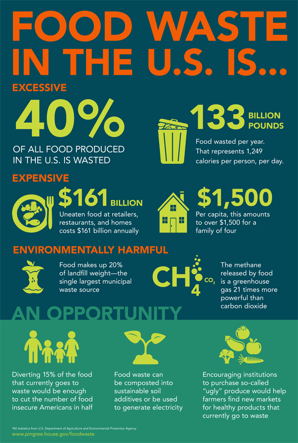 infographic food waste