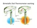 Bimetallic-coil thermometers