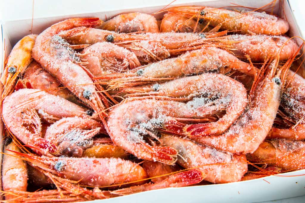 shrimp_seafood_food_safety_illness