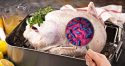 raw-turkey-thanksgiving-salmonella2