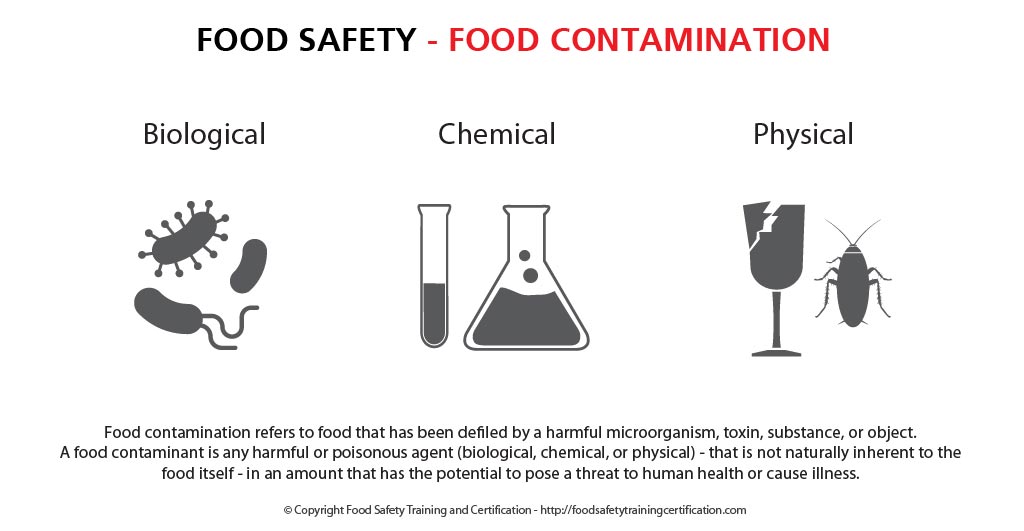 food_contamination_food_safety