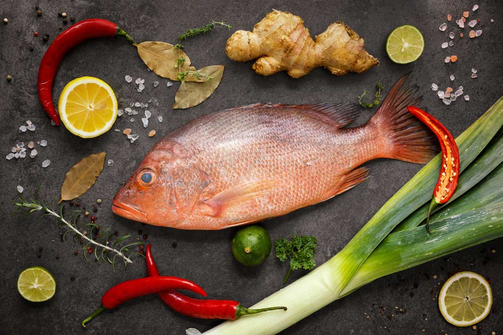 ciguatera_seafood_food_safety_illness