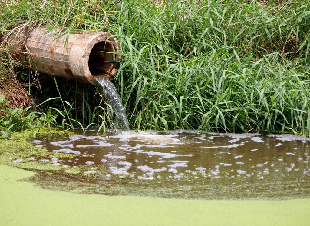 farm_runoff_algae_polltuion_food_safety_illness_