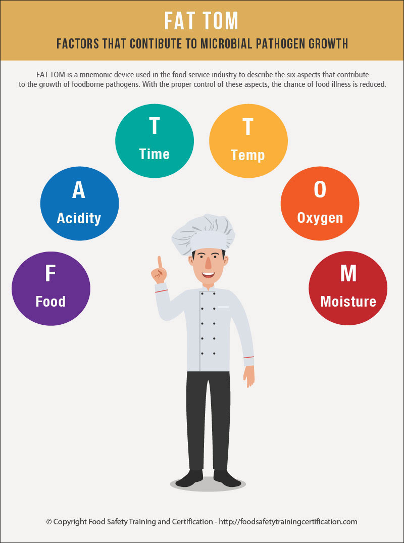 Does Refrigeration Prevent Bacterial Growth in Food?