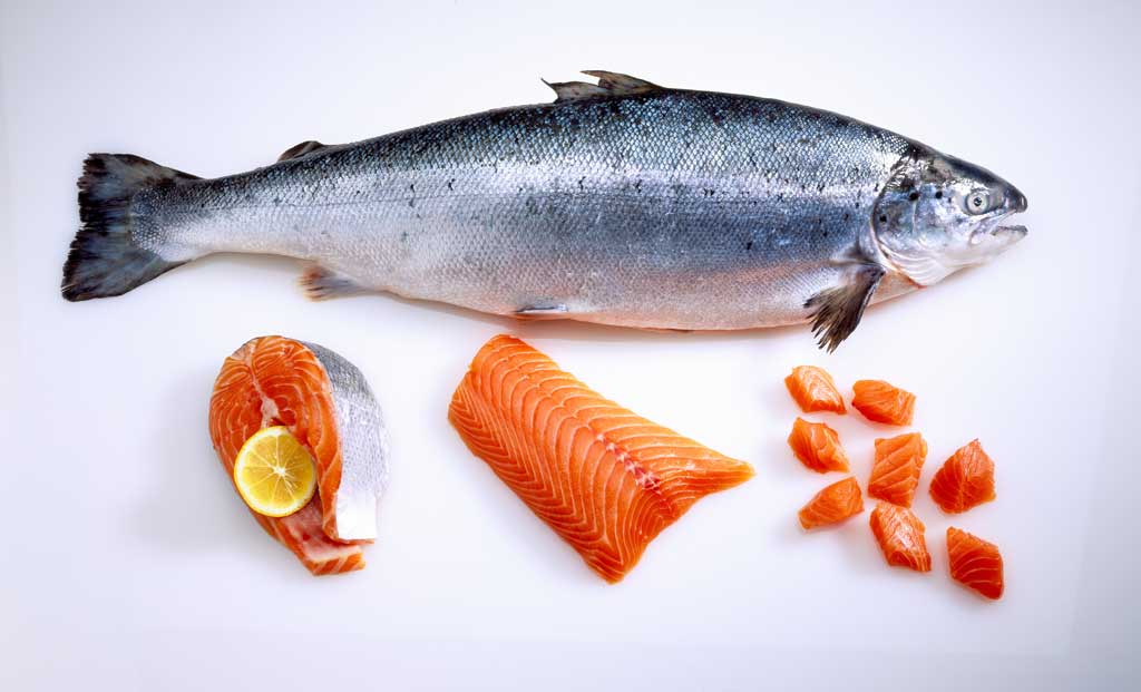 safe_seafood_food_safety_illness