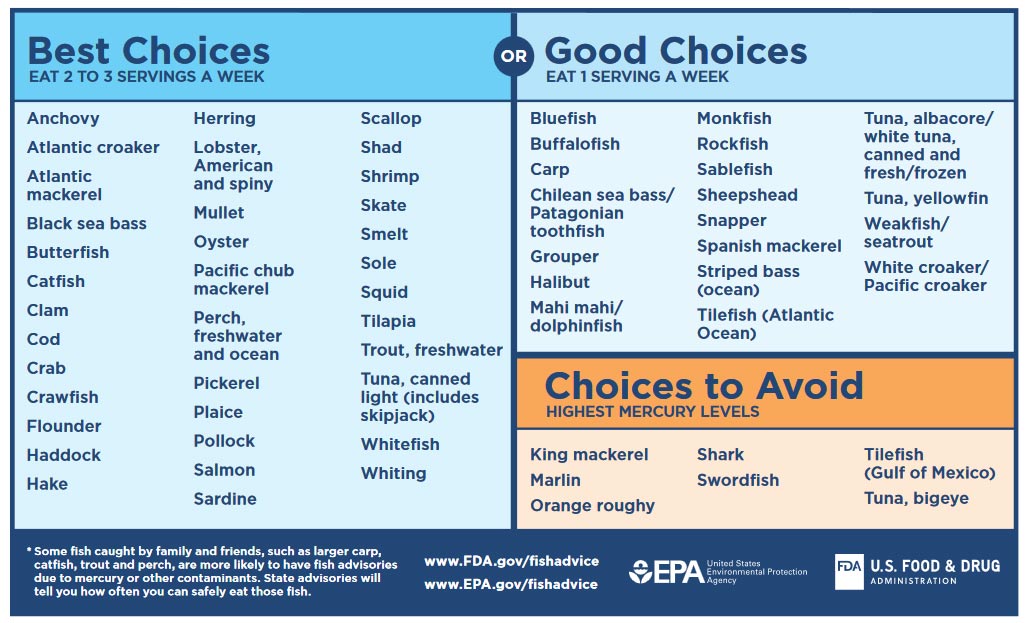 Mercury Exposure Guidelines for Eating Fish