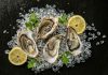 shellfish_oysers_norovirus_ecoli_vibrio_food_safety_illness