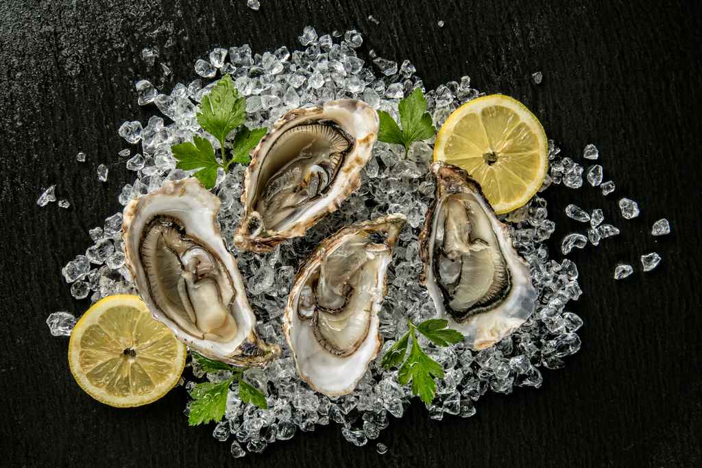 shellfish_oysers_norovirus_ecoli_vibrio_food_safety_illness