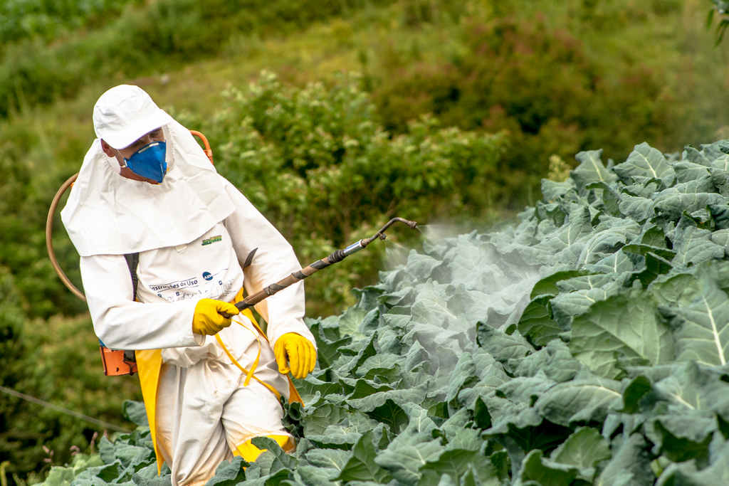 chemicals_dangerous_pesticides_pollution_food_safety_illness