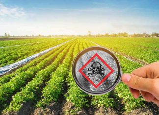 chemicals_dangerous_pesticides_pollution_food_safety_illness