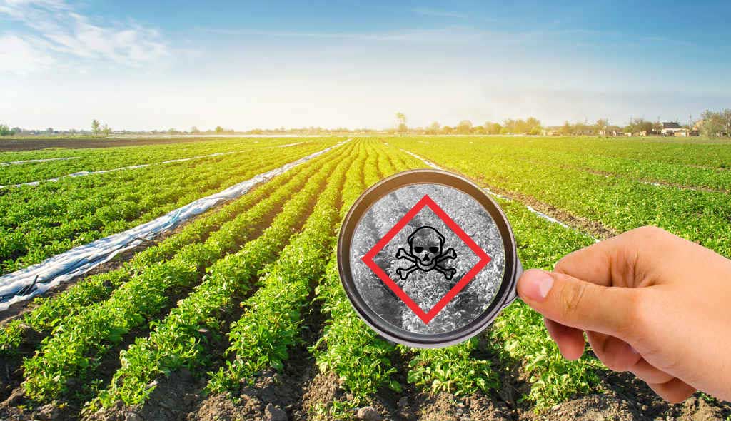 chemicals_dangerous_pesticides_pollution_food_safety_illness