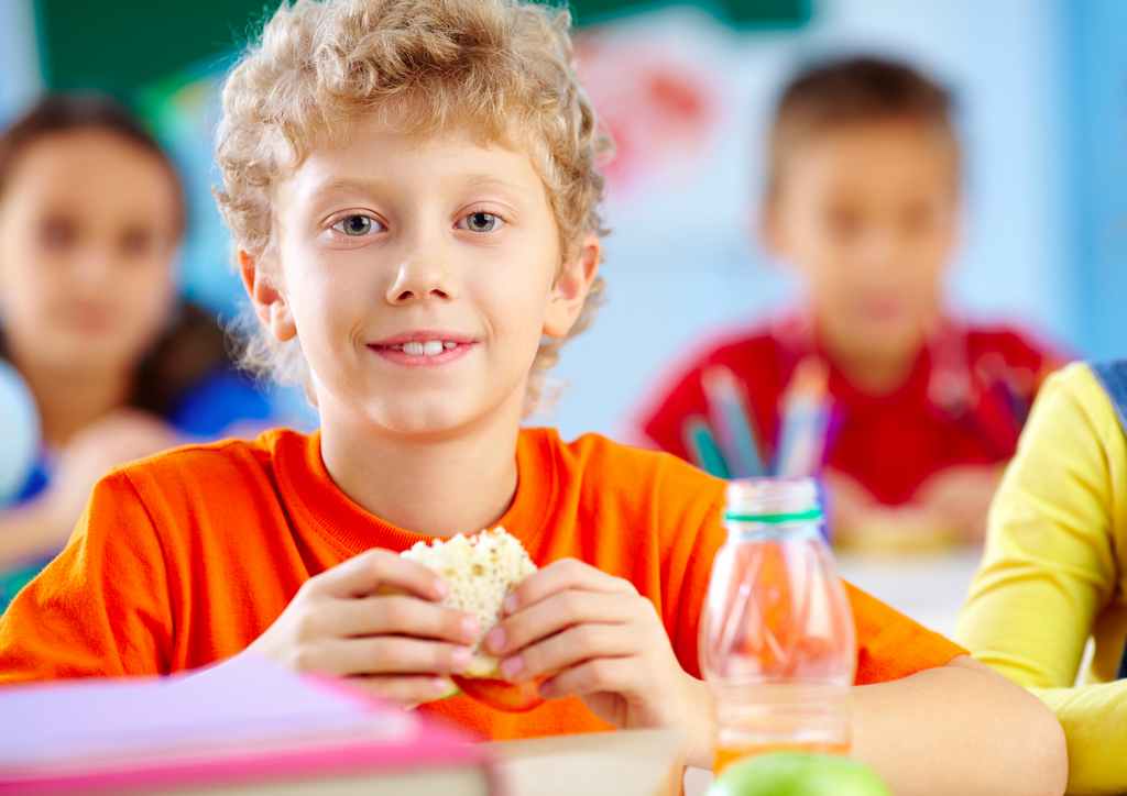 children_school_lunch_sandwich_food_safety_illness