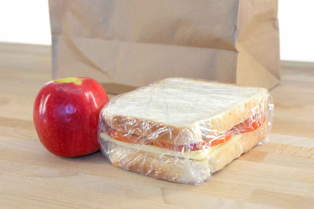 children_school_lunch_sandwich_food_safety_illness