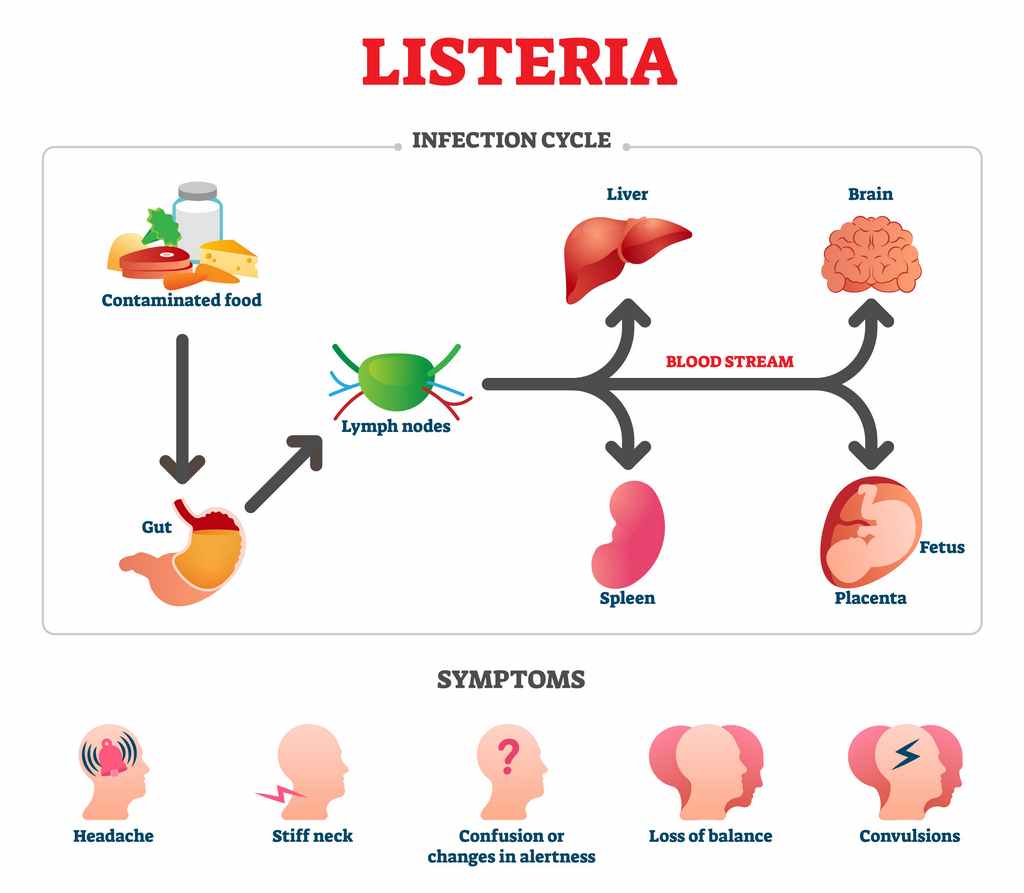 Dangers of Listeria