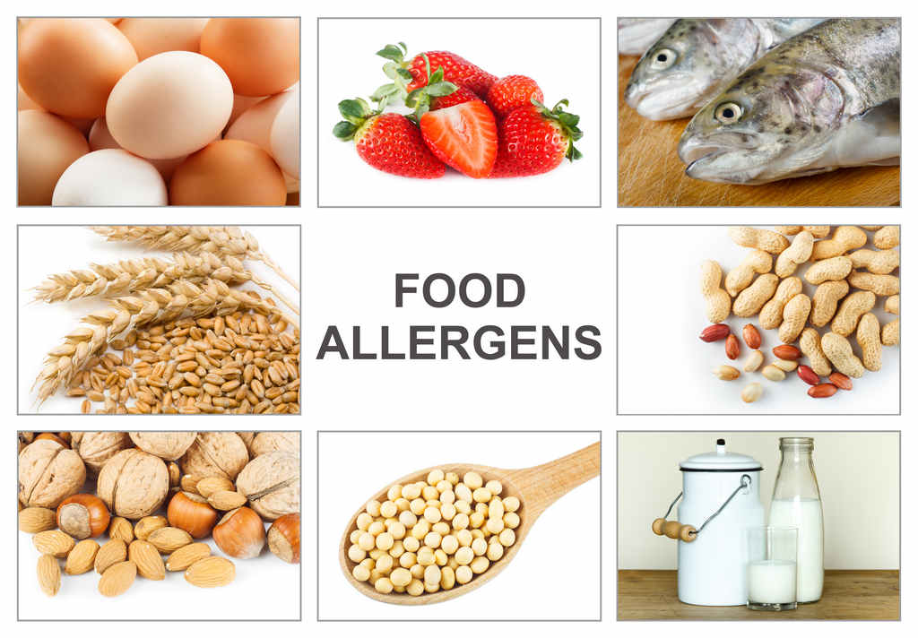 allergies_allergen_child_food_illness_safety