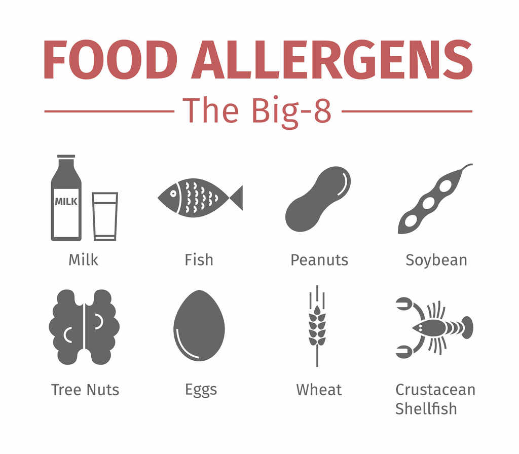 food_allergy_allergens_child_fare_safety