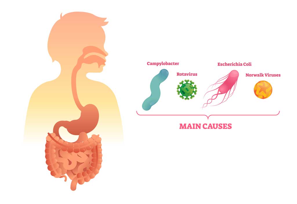 bacteria_virus_food_hazards_contamination_safety_illness