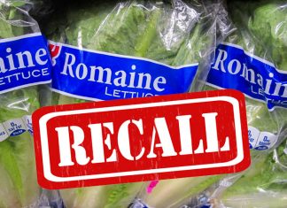 food_recall_safety