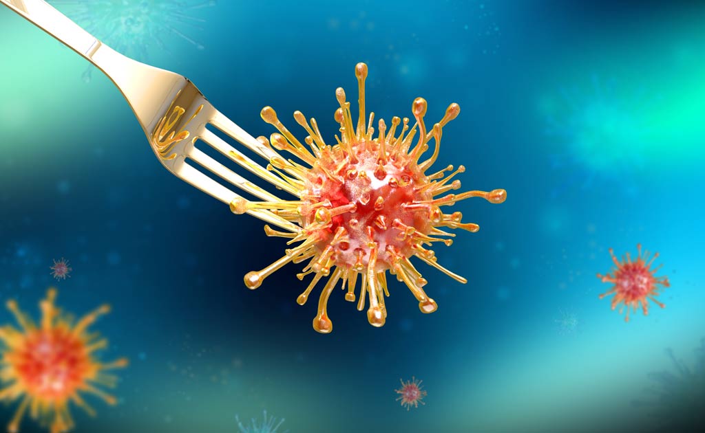 virus_bacteria_food_safety_illness
